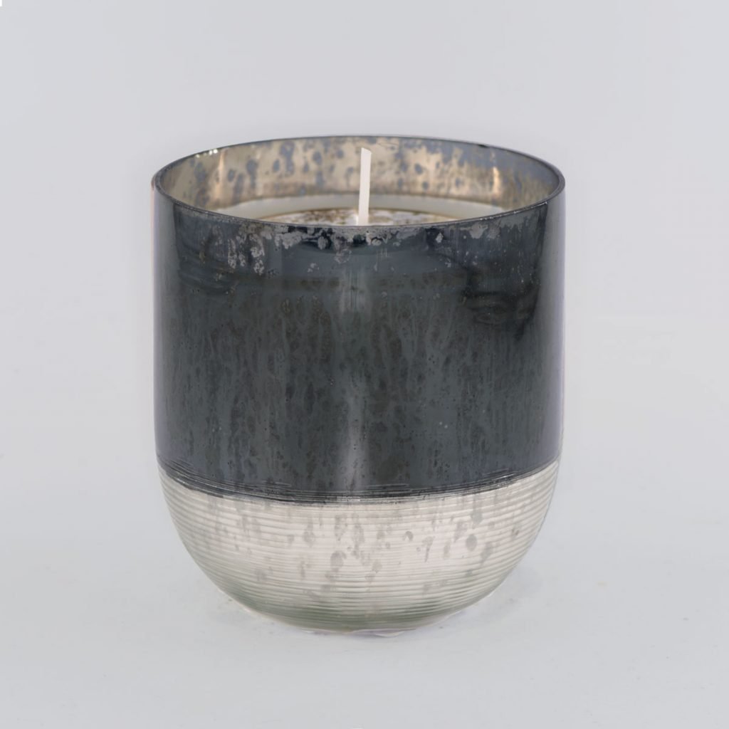 Black Cashmerewood - Pot