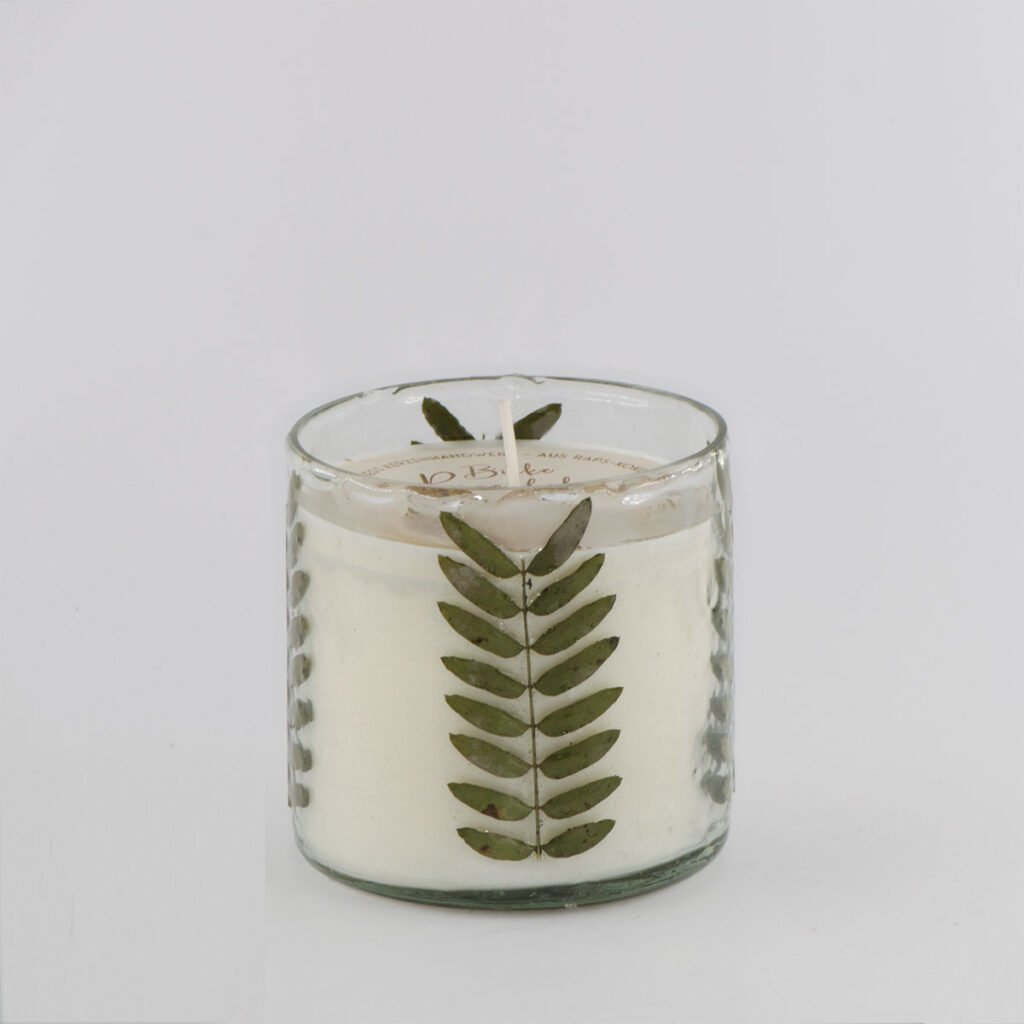 Birke Rosenholz - Leaf Zylinder