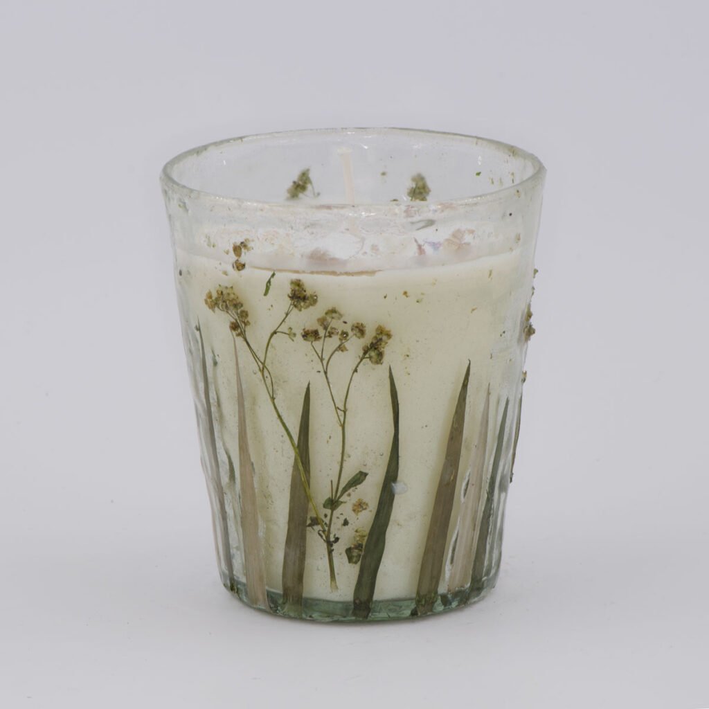 Limone Lavendel - Plant Konus