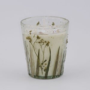 Limone Lavendel - Plant Konus
