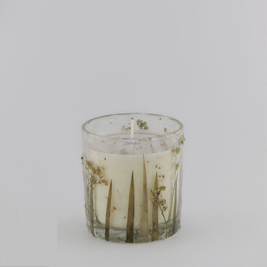 Limone Lavendel - Plant Zylinder