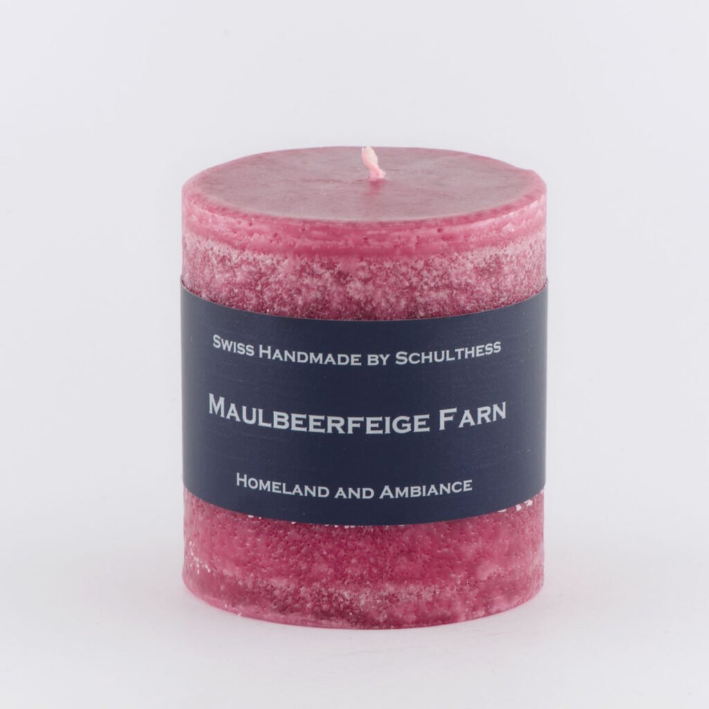 Maulbeerfeige Farn